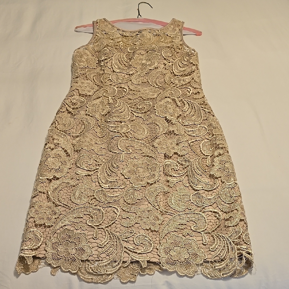Adrianna Papell Cream Lace Dress